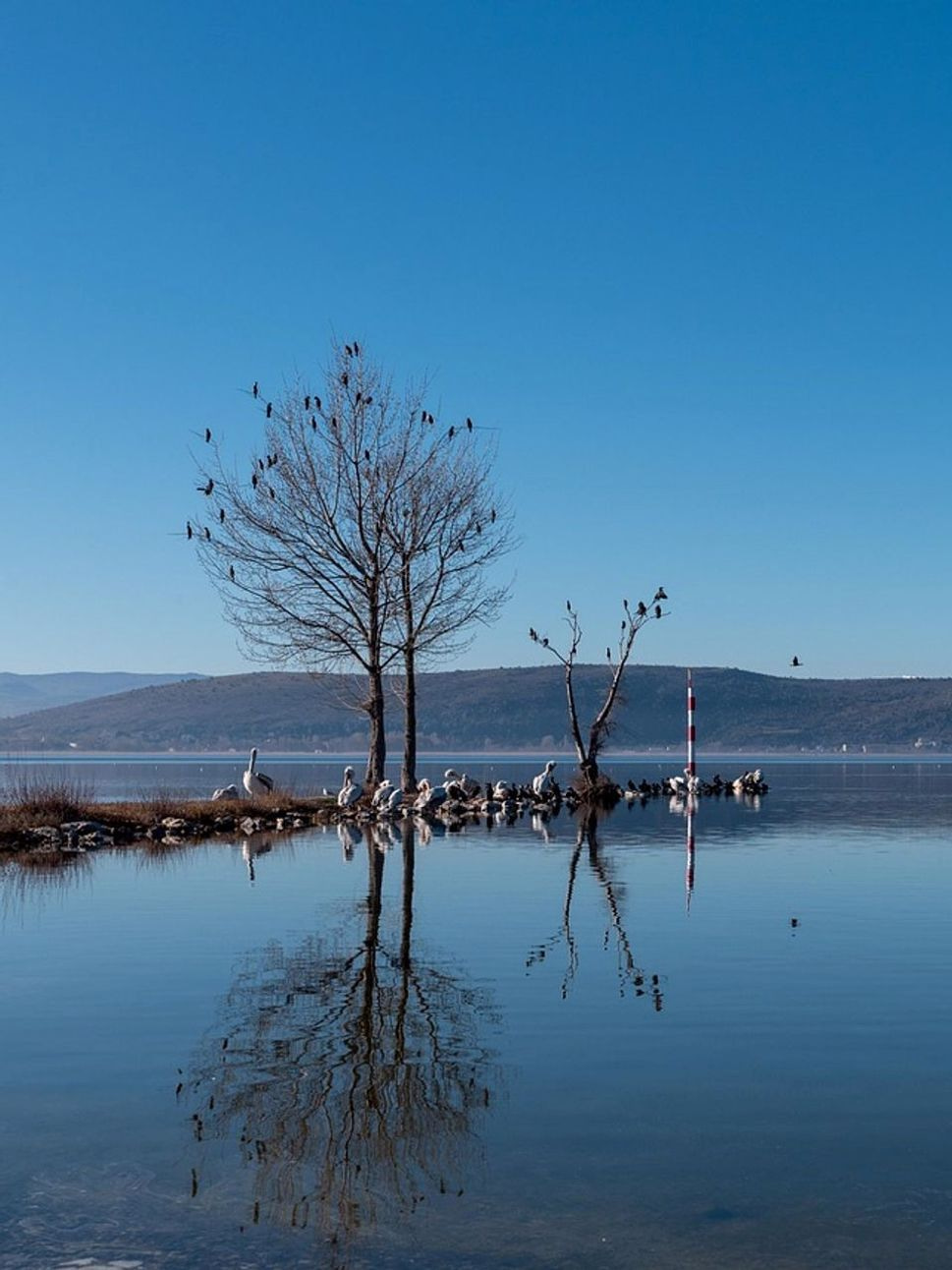 The Lakeside Classic